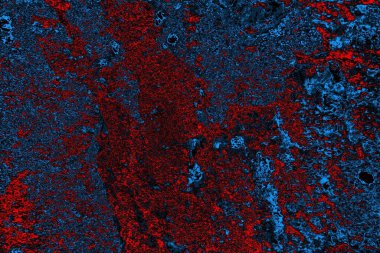 soyut siyah kırmızı doku, arkaplan, boşluk duvar kağıdını kopyala