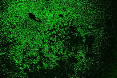 soyut yeşil doku, arkaplan, duvar kağıdını kopyala