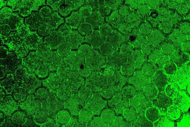 soyut siyah yeşil doku, arkaplan, duvar kağıdını kopyala