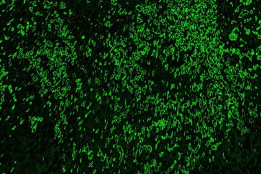 soyut yeşil ve siyah doku ve arkaplan, uzay duvar kağıdını kopyala