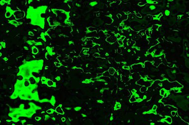 soyut siyah yeşil doku, arkaplan, duvar kağıdını kopyala