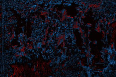 Duvar dokusu arkaplanı eski boyayla soyulmuş