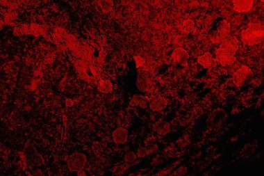 soyut siyah kırmızı doku, arkaplan, boşluk duvar kağıdını kopyala