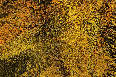 Kırmızı sarı ve siyah renkli kirli duvar, desenli arka plan.