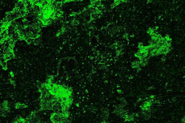 soyut siyah yeşil doku, arkaplan, duvar kağıdını kopyala