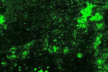 soyut siyah yeşil doku, arkaplan, duvar kağıdını kopyala