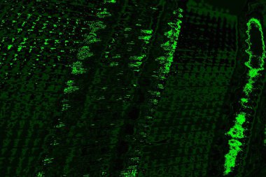 soyut Yeşil ve siyah doku ve arkaplan, boşluğu kopyala