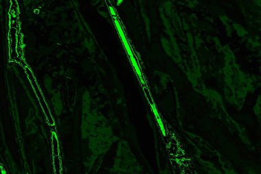 soyut Yeşil ve siyah doku ve arkaplan, boşluğu kopyala