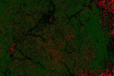 Çizik ve çatlaklarla metal doku