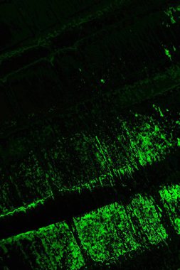 soyut yeşil doku, arkaplan, duvar kağıdını kopyala