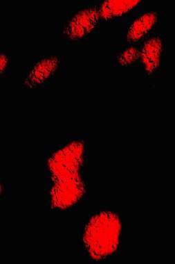 Arkaplan olarak kullanmak için duvarın resmi.