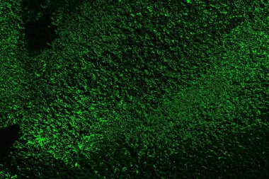 soyut siyah yeşil doku, arkaplan, duvar kağıdını kopyala