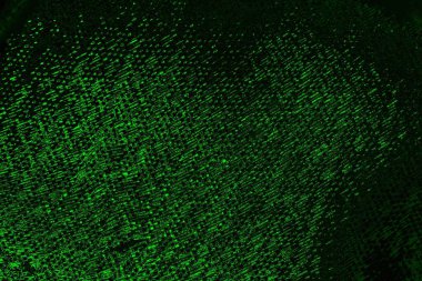 soyut siyah yeşil doku, arkaplan, duvar kağıdını kopyala