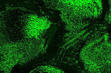 soyut siyah yeşil doku, arkaplan, duvar kağıdını kopyala