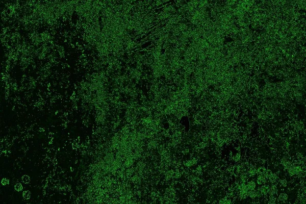 Abstract Green Black Texture Background Copy Space — Stock Photo, Image