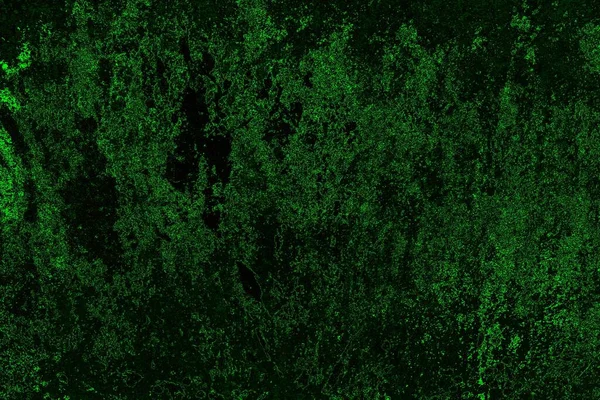 Abstract Green Black Texture Background Copy Space — Stock Photo, Image