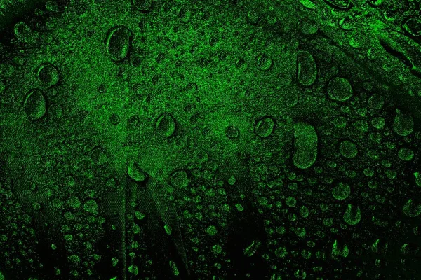 Yeşil ve siyah doku ve arkaplan, boşluğu kopyala