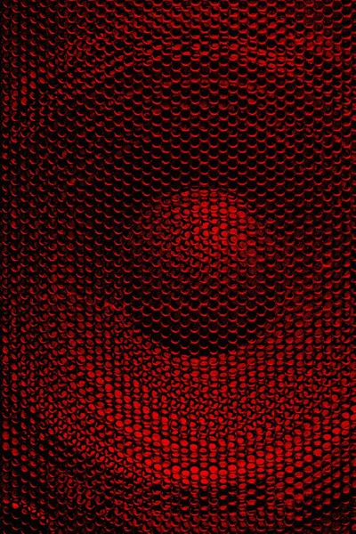 Koruyucu ızgarası olan güçlü bir hoparlör..