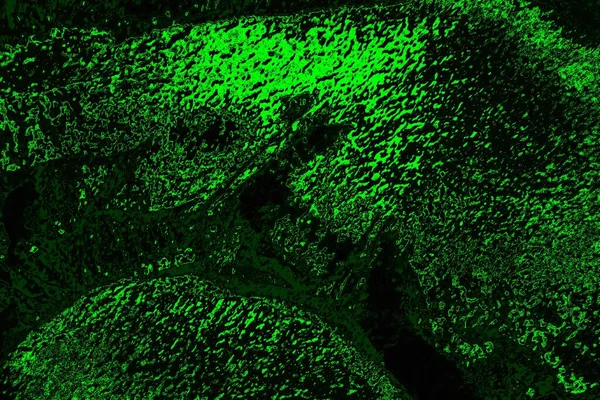 soyut siyah yeşil doku, arkaplan, duvar kağıdını kopyala