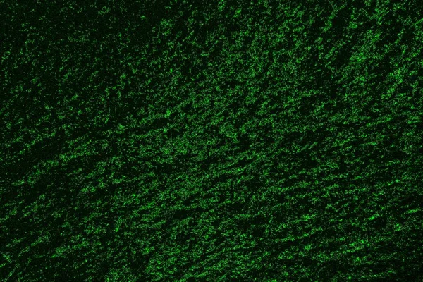 soyut yeşil ve siyah doku ve arkaplan, uzay duvar kağıdını kopyala