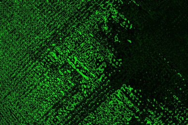 Yeşil ve siyah doku ve arkaplan, boşluğu kopyala