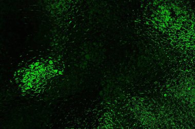 soyut Yeşil ve siyah doku ve arkaplan, boşluğu kopyala