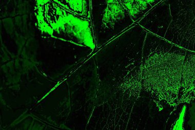 soyut Yeşil ve siyah doku ve arkaplan, boşluğu kopyala