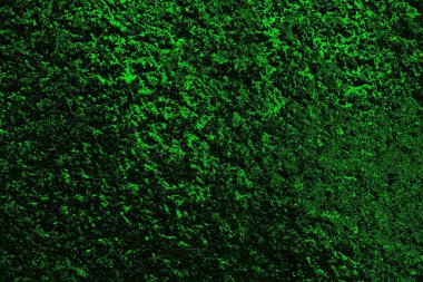 soyut yeşil doku, arkaplan, duvar kağıdını kopyala