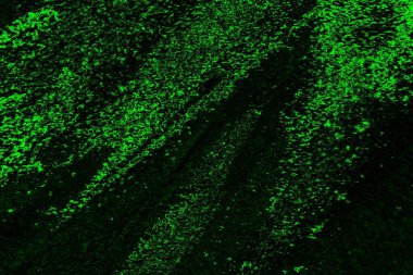 soyut siyah yeşil doku, arkaplan, duvar kağıdını kopyala