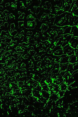 soyut siyah yeşil doku, arkaplan, duvar kağıdını kopyala