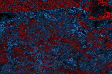 soyut siyah kırmızı doku, arkaplan, boşluk duvar kağıdını kopyala