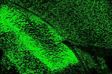 soyut siyah yeşil doku, arkaplan, duvar kağıdını kopyala