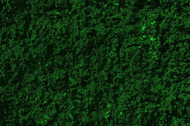 Yeşil ve siyah doku ve arkaplan, boşluğu kopyala