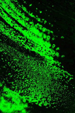 soyut yeşil ve siyah doku ve arkaplan, uzay duvar kağıdını kopyala