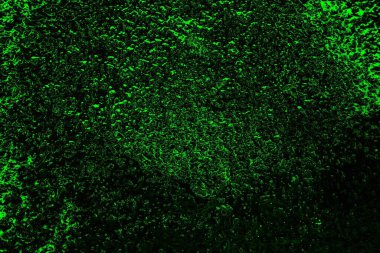 soyut yeşil doku, arkaplan, duvar kağıdını kopyala