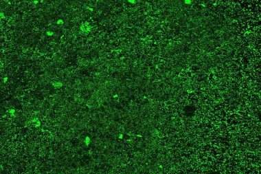 soyut siyah yeşil doku, arkaplan, duvar kağıdını kopyala