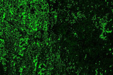 Yeşil ve siyah doku ve arkaplan, boşluğu kopyala