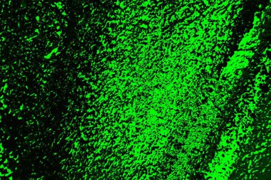 soyut siyah yeşil doku, arkaplan, duvar kağıdını kopyala