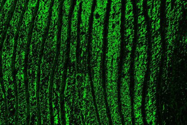 soyut yeşil ve siyah doku ve arkaplan, uzay duvar kağıdını kopyala