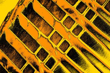 Kırmızı sarı ve siyah renkli kirli duvar, desenli arka plan.