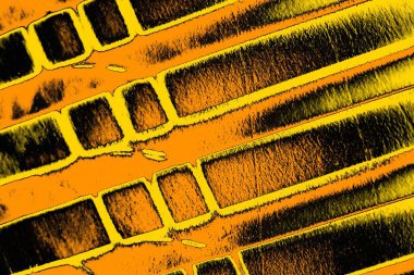 Kırmızı sarı ve siyah renkli kirli duvar, desenli arka plan.