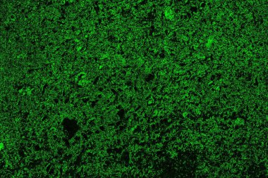 soyut Yeşil ve siyah doku ve arkaplan, boşluğu kopyala