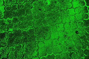 soyut siyah yeşil doku, arkaplan, duvar kağıdını kopyala