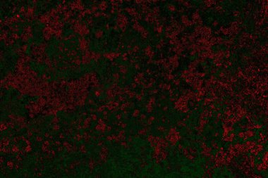 Dökülen boya paslı metal dokusu