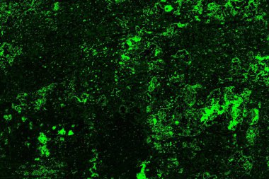 soyut siyah yeşil doku, arkaplan, duvar kağıdını kopyala