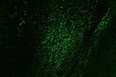 soyut siyah yeşil doku, arkaplan, duvar kağıdını kopyala