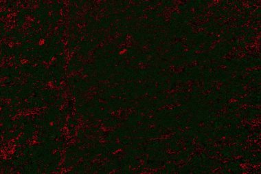 soyut siyah yeşil doku, arkaplan, duvar kağıdını kopyala