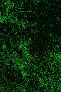 soyut Yeşil ve siyah doku ve arkaplan, boşluğu kopyala