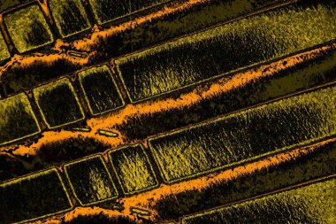 Renkli kirli duvar, desenli arkaplan