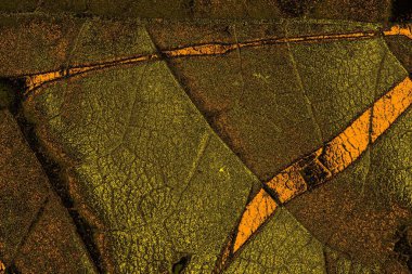 Kırmızı sarı ve siyah renkli kirli duvar, desenli arka plan.